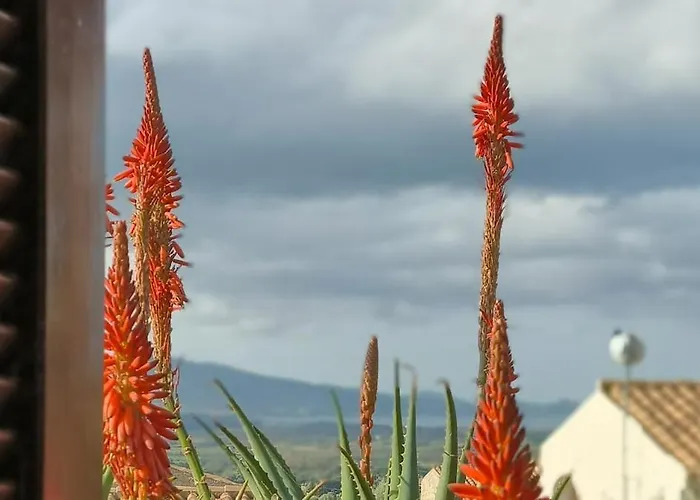 La Del Dottore * Badesi